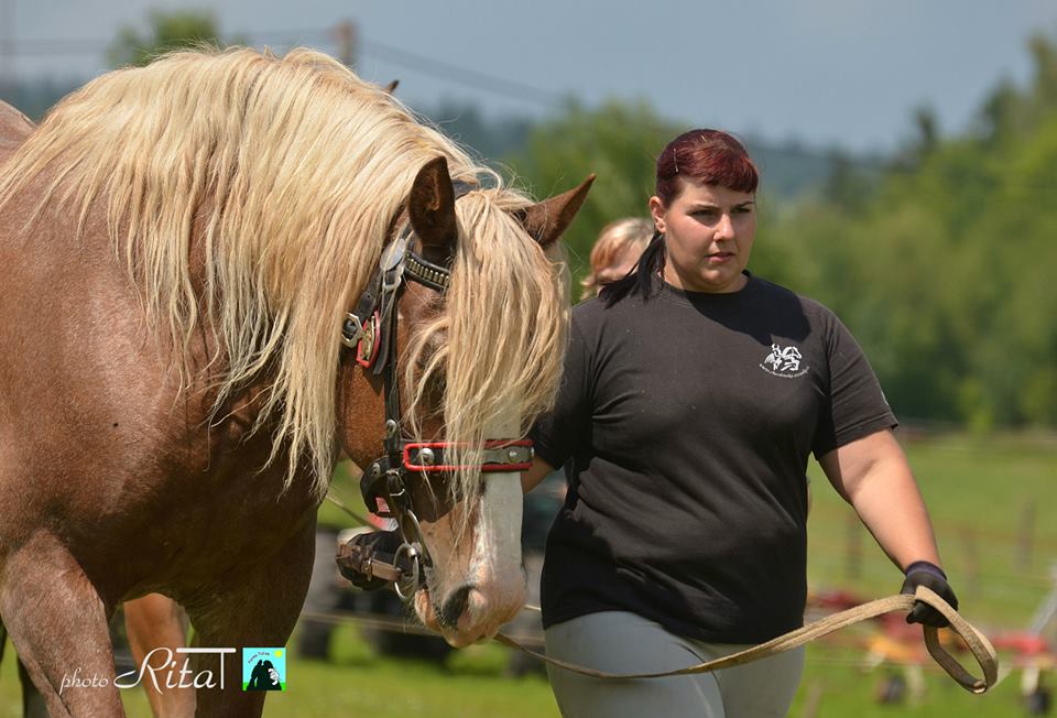 03 - představení potomstva rámcového tlumačovského hřebce 2566 BARON a zároveň málopočetné rodiny "L" v chovu koní Dvorka