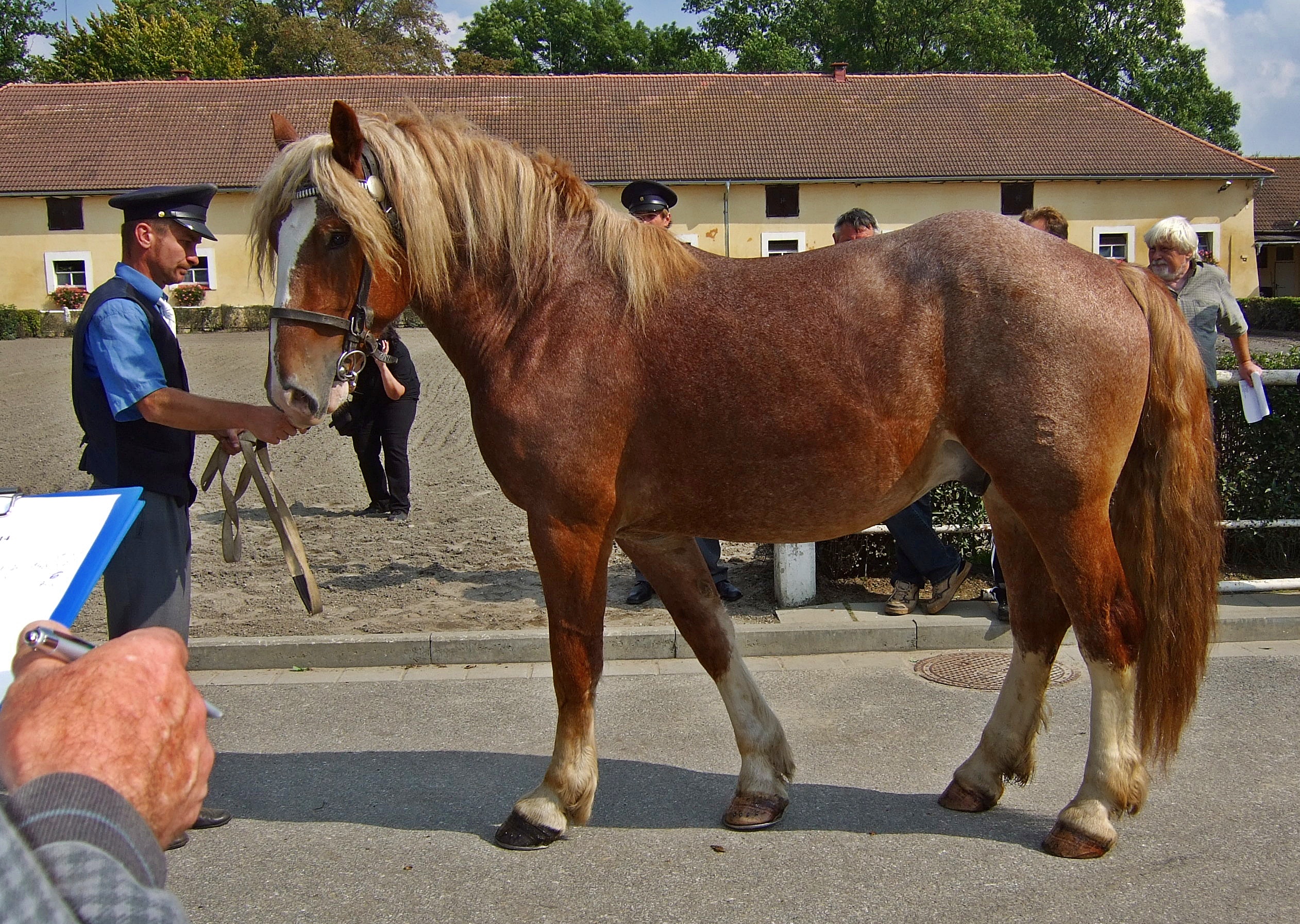 07 - ČMB 1/133 BARMÍN Z LIPSKÝ