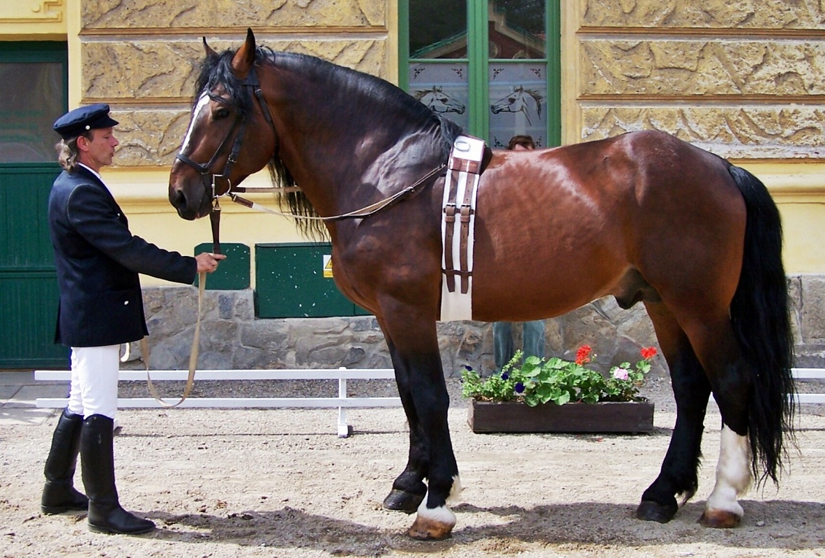 Anna Ježková © 2007