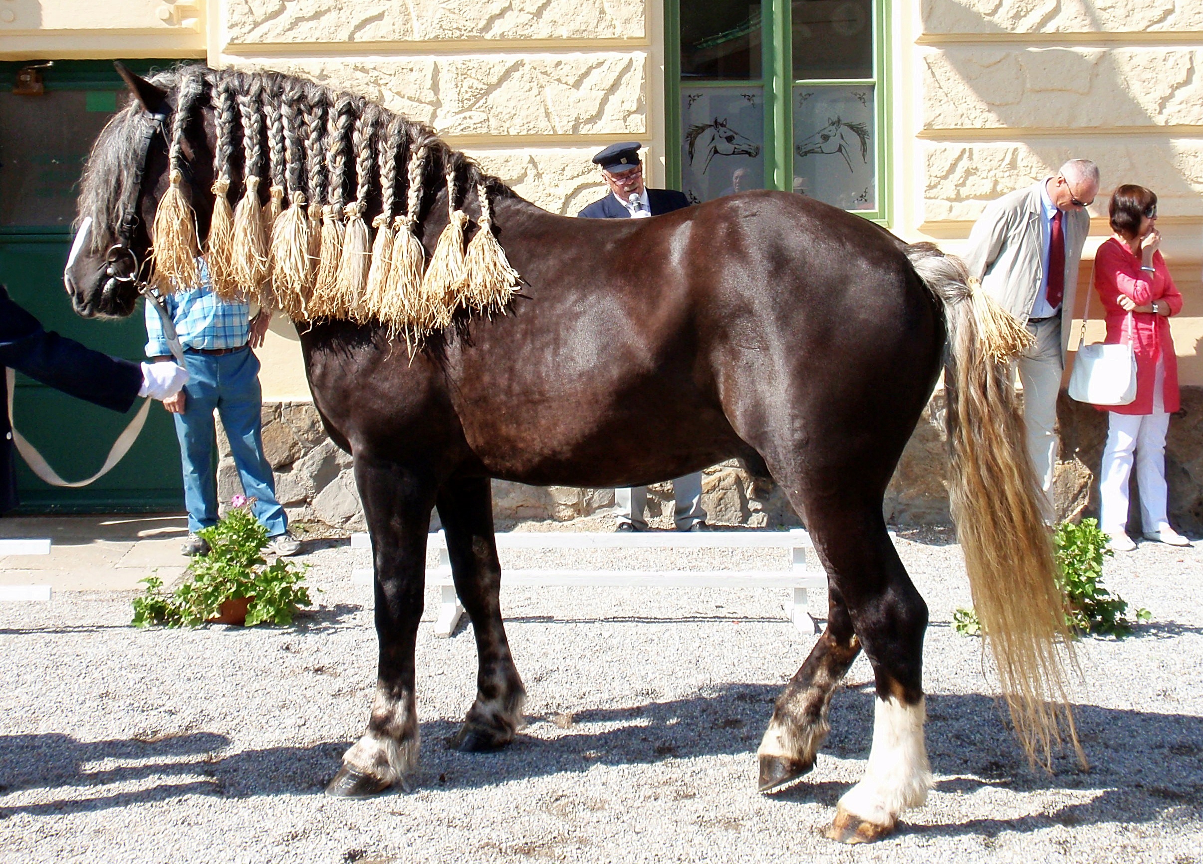 Tomáš Dibďák © 2011