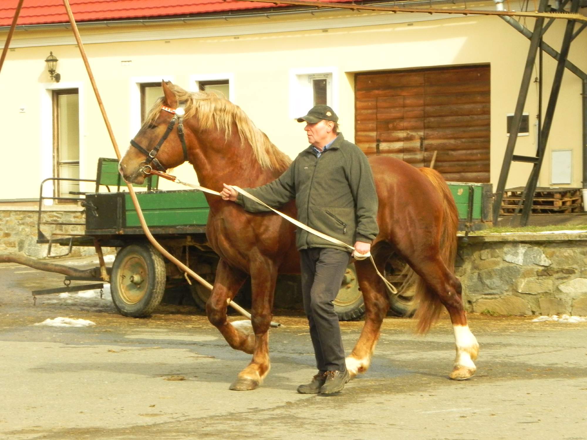 M.Olbertová 2016 (1)