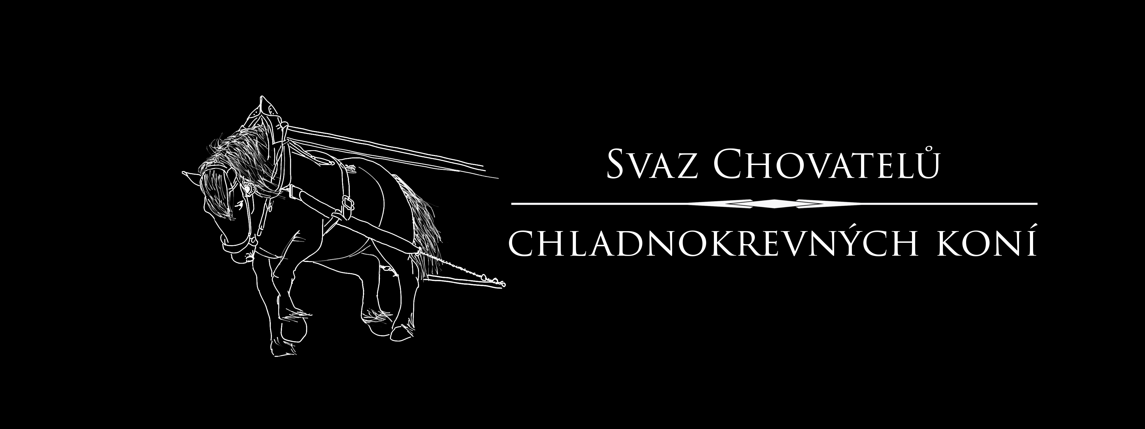 svaz-chovatelu-betta5