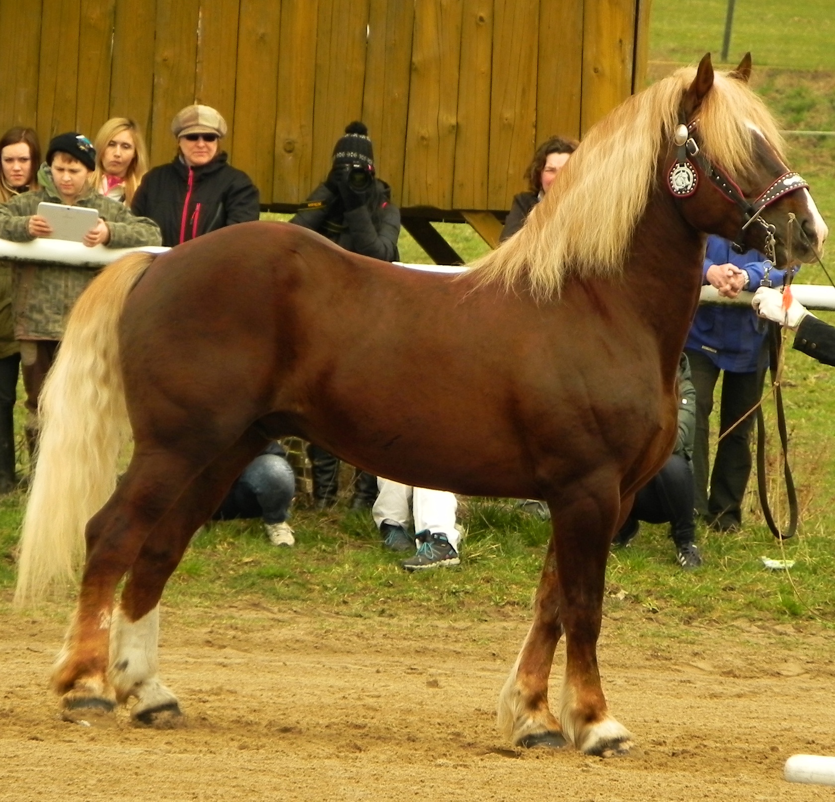 1953 Kuba