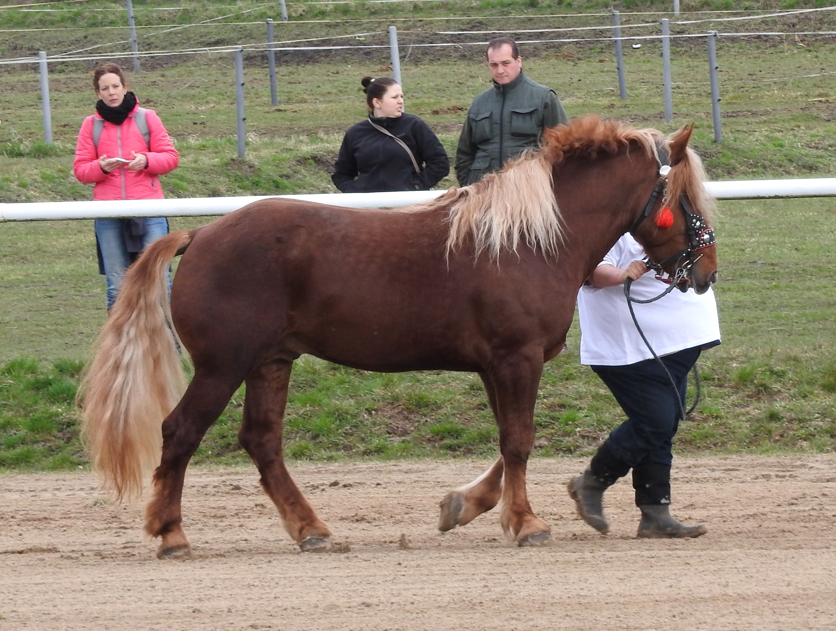 Vrchovany 2016, foto ©  L.Jurčíková