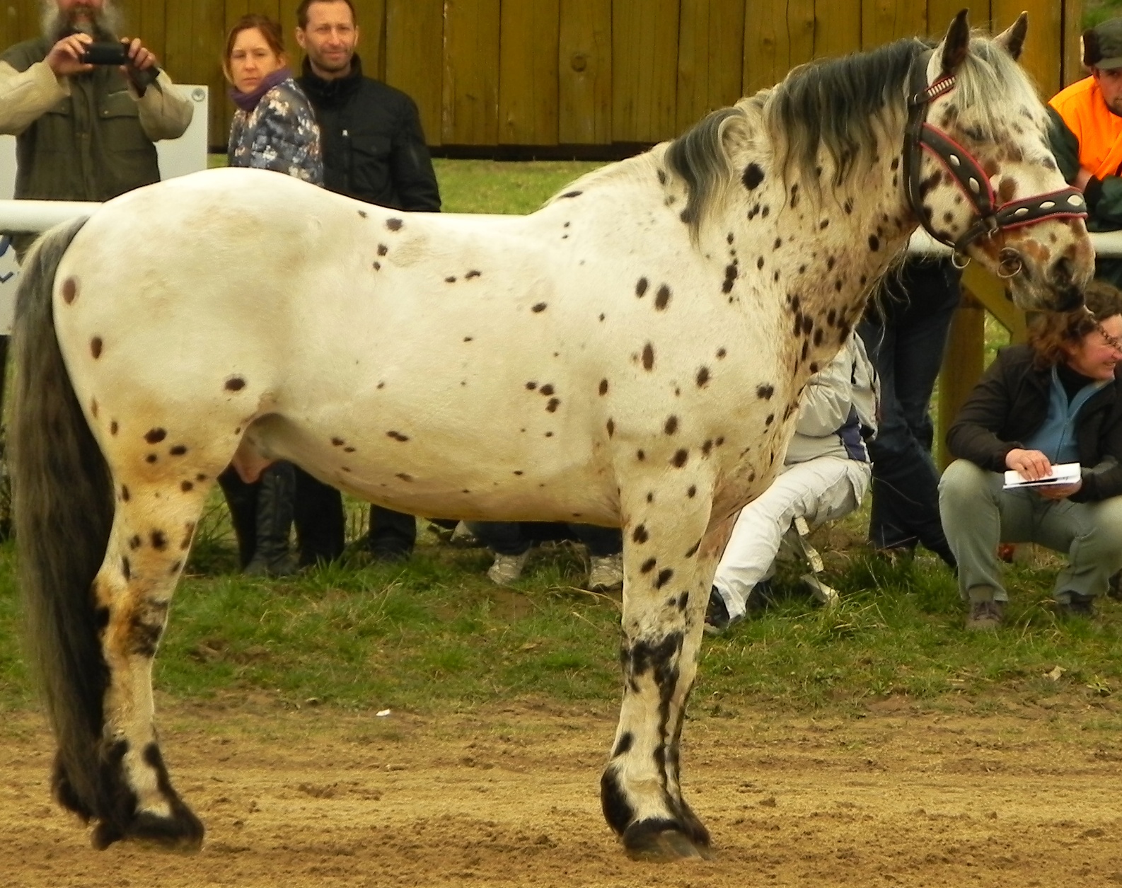 Vrchovany 2016, foto ©  M.Olbertová