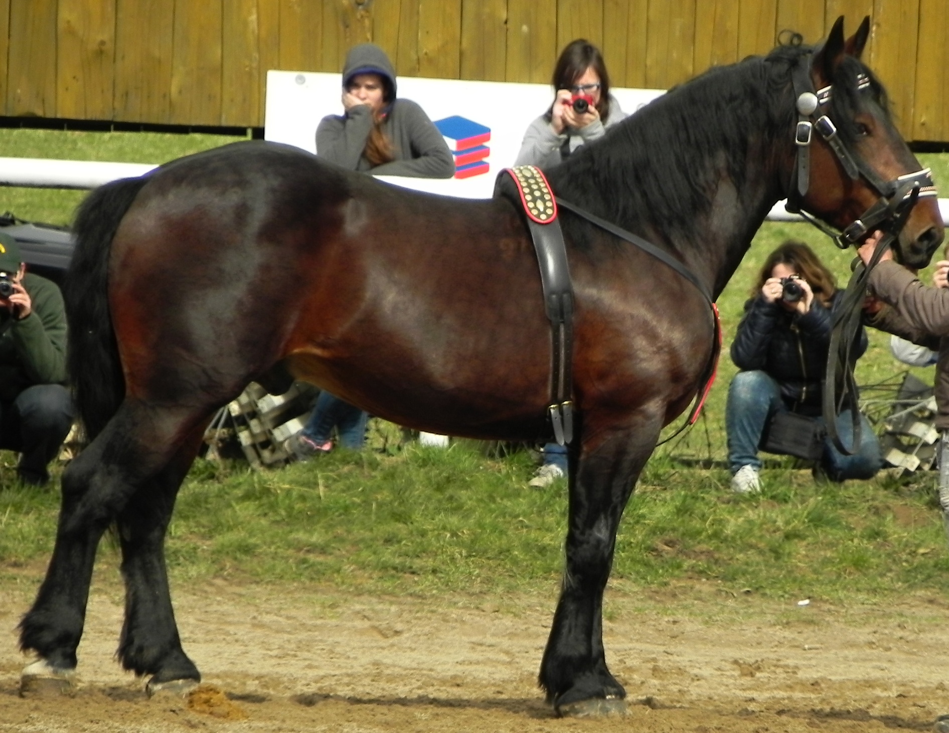 Vrchovany 2016, foto ©  M.Olbertová