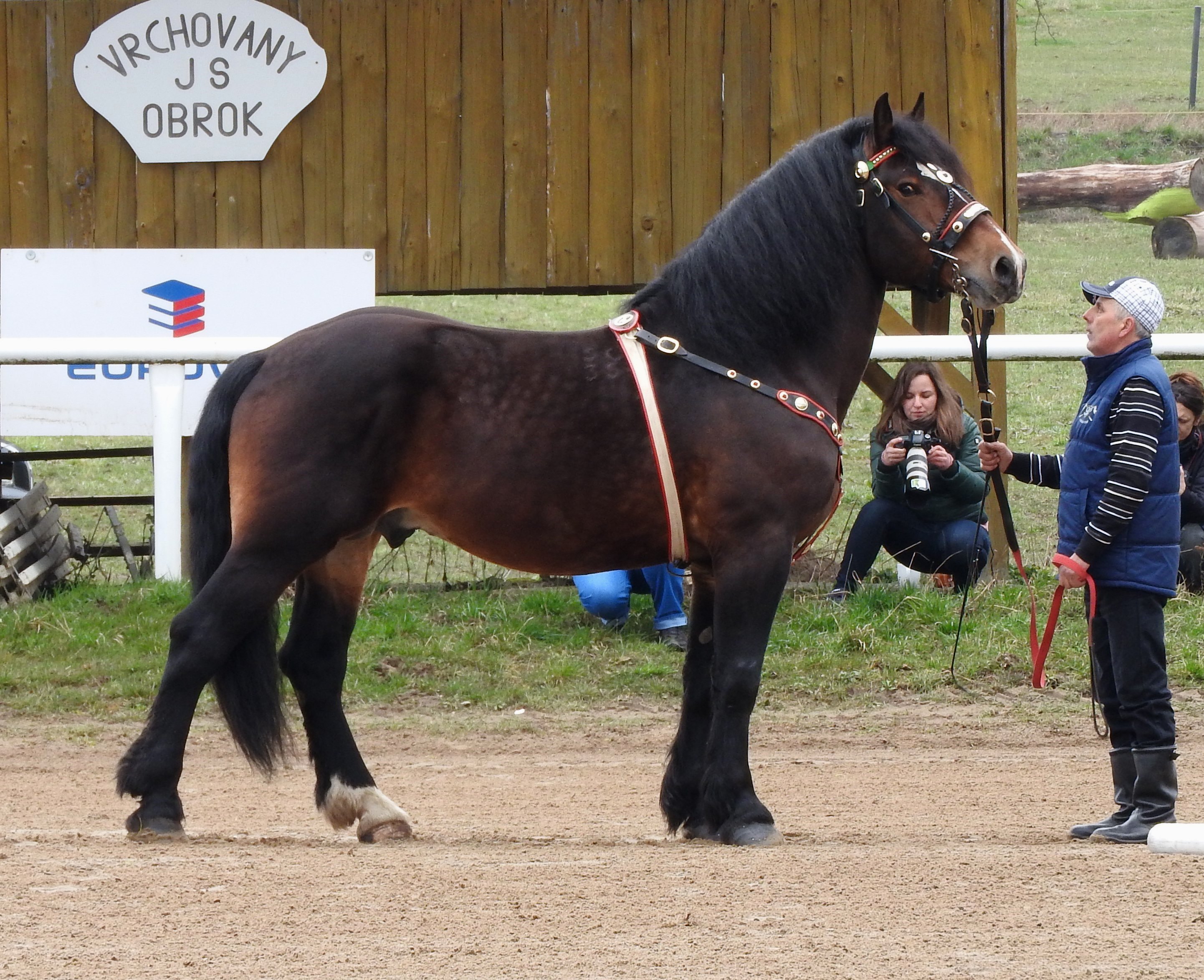 Vrchovany 2016, foto ©  L.Jurčíková