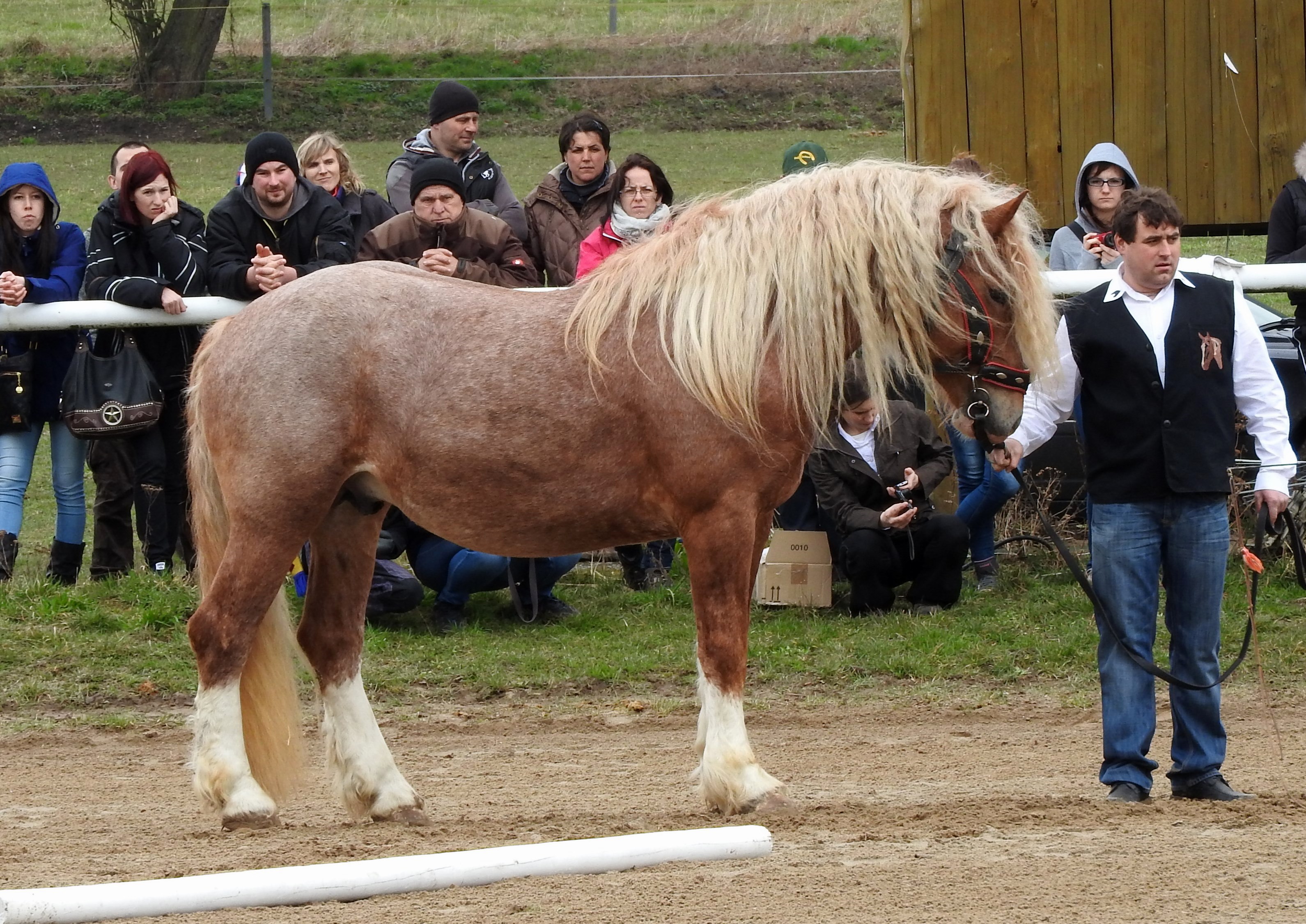 Vrchovany 2016, foto ©  L.Jurčíková