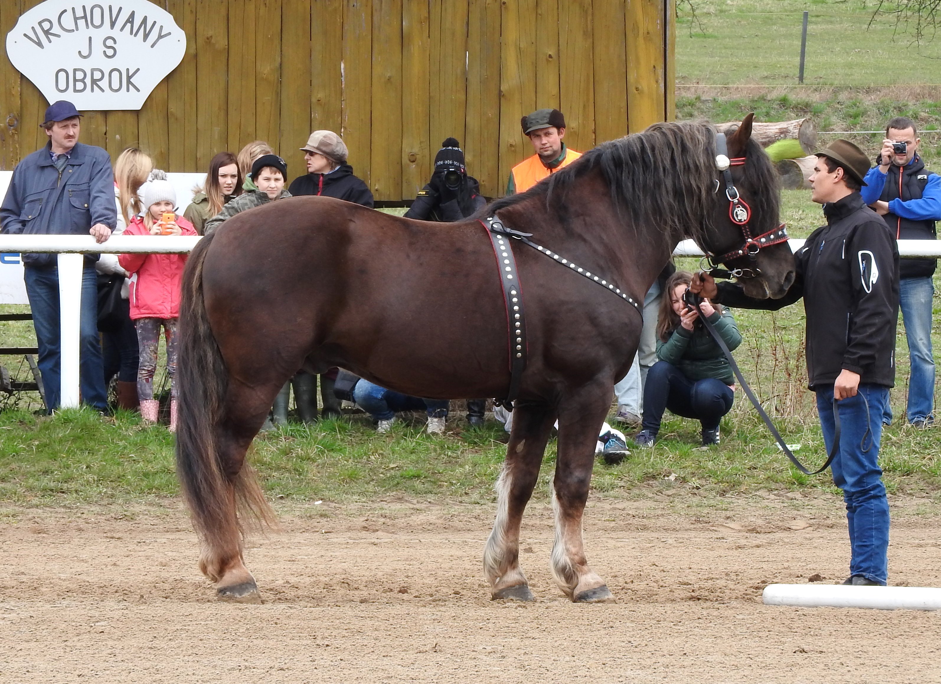 Vrchovany 2016, foto ©  L.Jurčíková