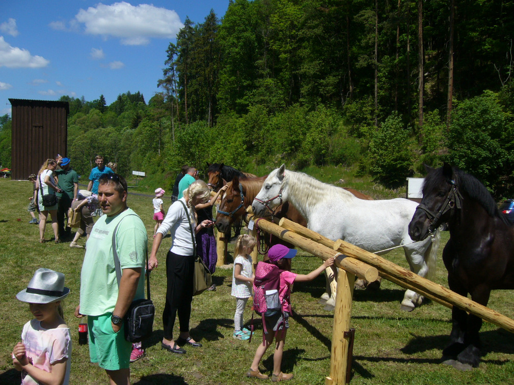 vystava koni Kyselka 2017_3