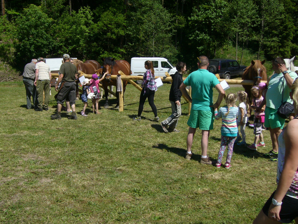 vystava koni Kyselka 2017_5