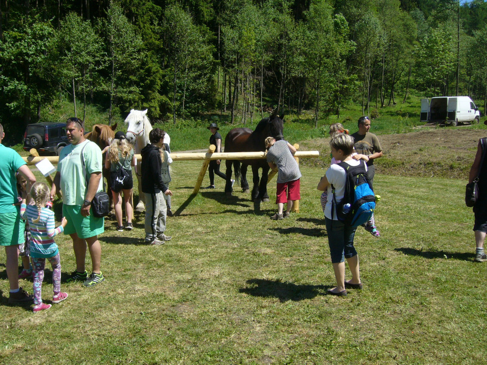 vystava koni Kyselka 2017_6