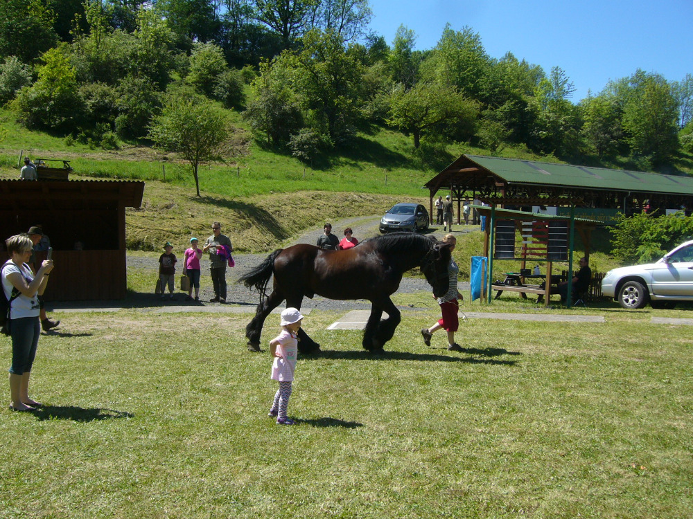 vystava koni Kyselka 2017_17