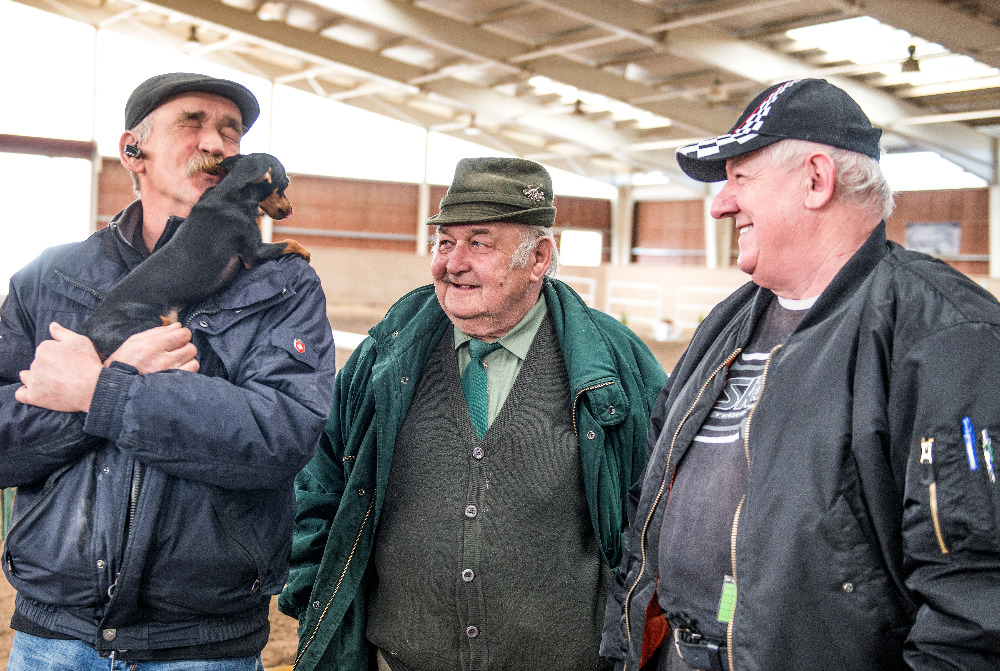Prehlidka plemennych hrebcu_Stenovicky borek_17.3.2019
