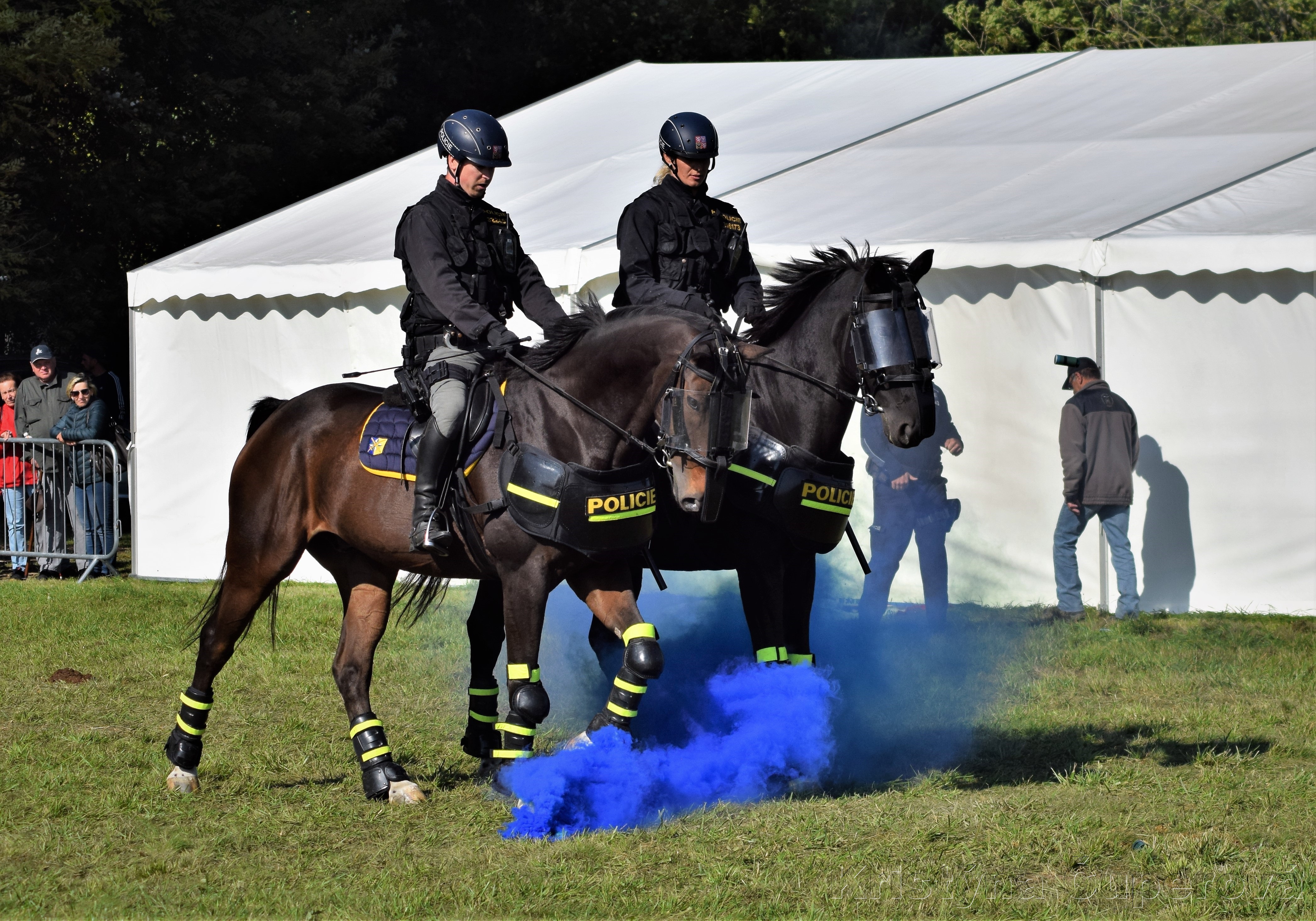 ukázka jízdní policie