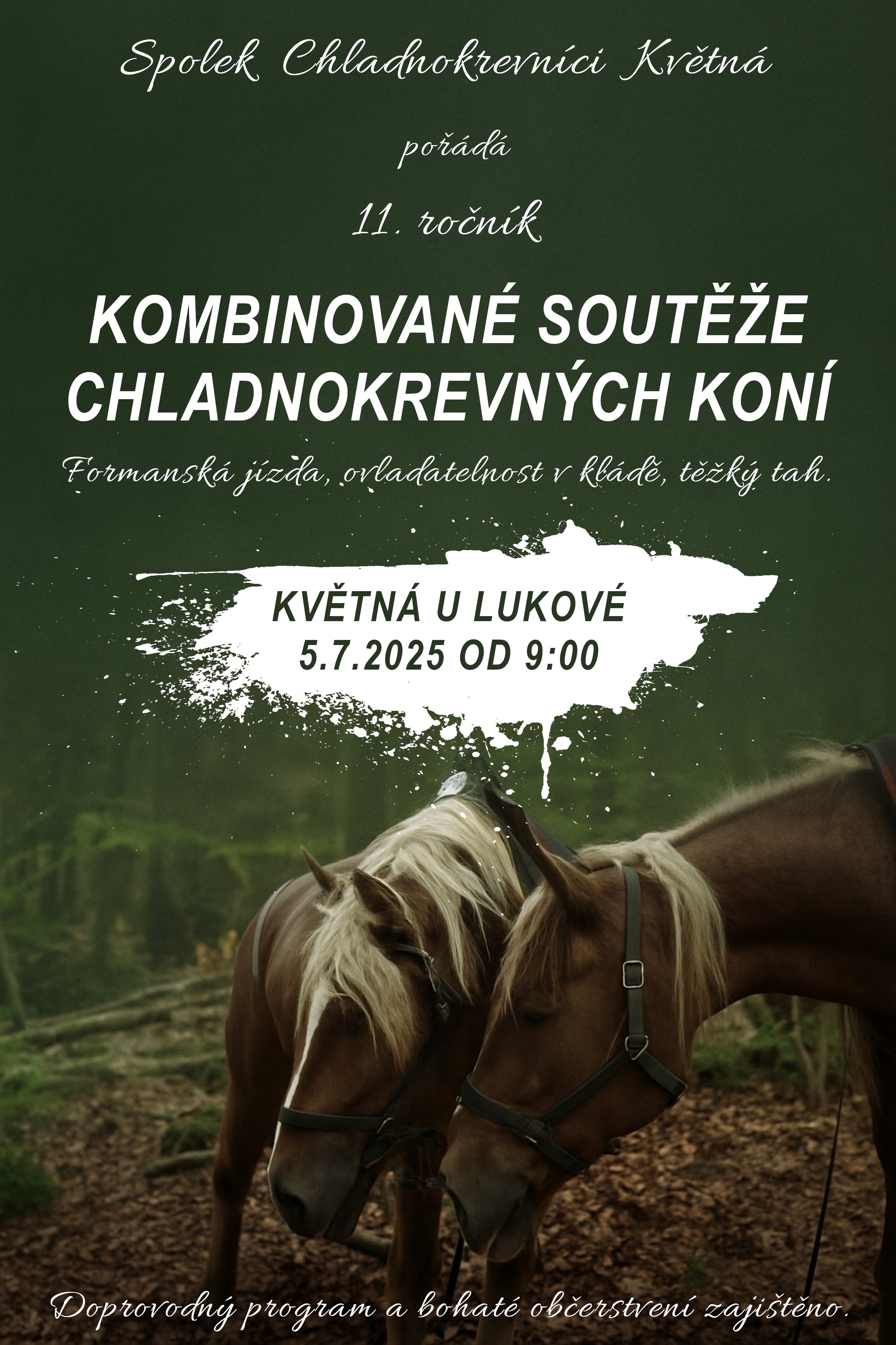 pozadi_kone_final.jpg