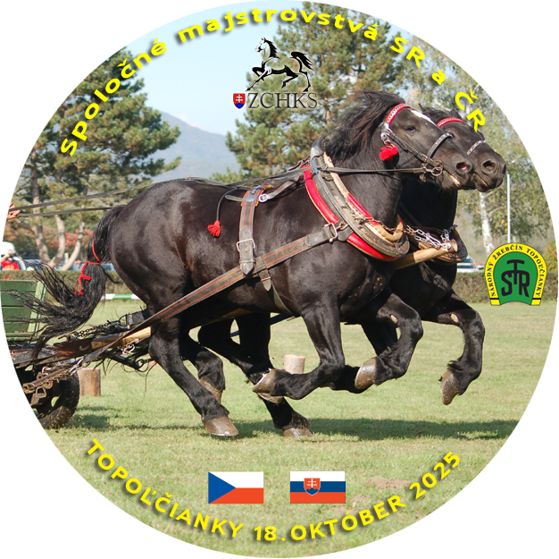 msr-cr.png