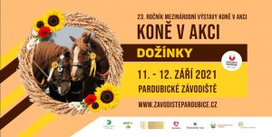 2x1-kone-v-akci_zmensene.jpg