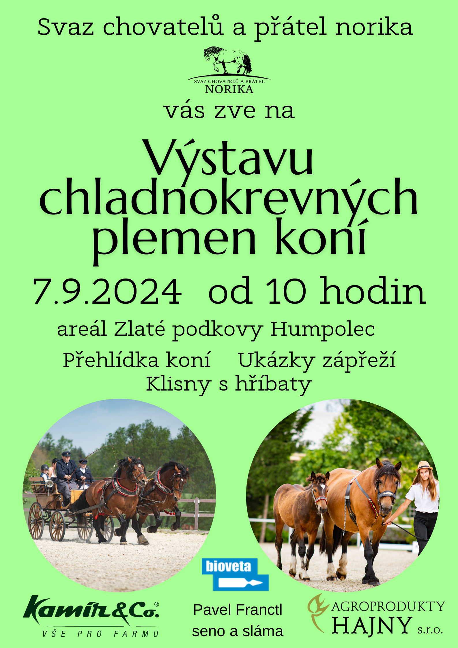 vystava-chladnokrevnych-plemen-koni--zelena-.png